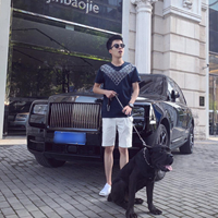 我爱风骚骚 时尚炫音