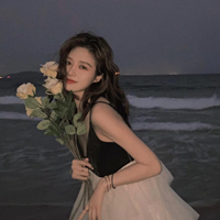 车载dvd舞曲视频