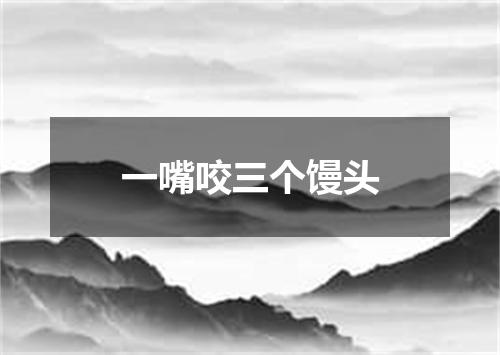一嘴咬三个馒头