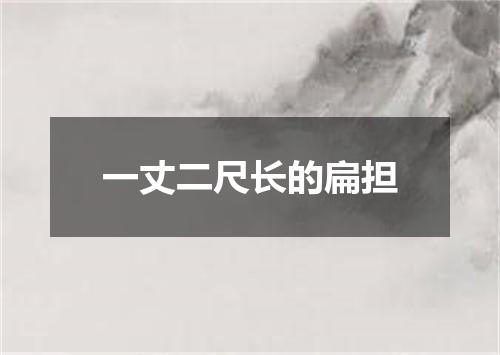 一丈二尺长的扁担