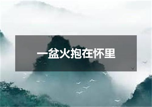 一盆火抱在怀里
