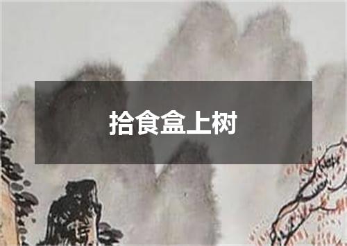 拾食盒上树