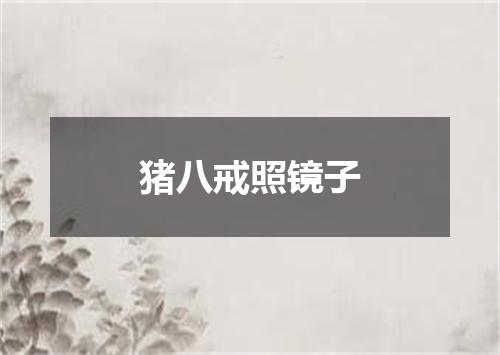 猪八戒照镜子