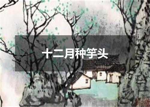 十二月种竽头