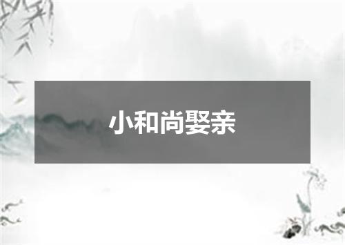 小和尚娶亲