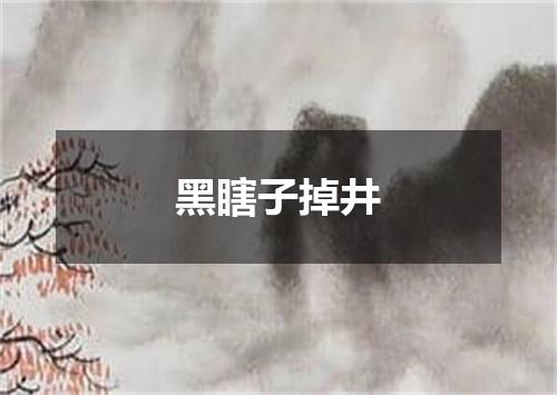 黑瞎子掉井