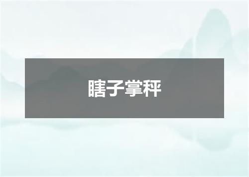 瞎子掌秤