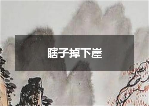 瞎子掉下崖