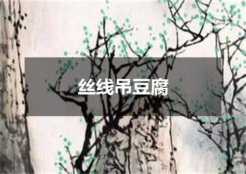 丝线吊豆腐
