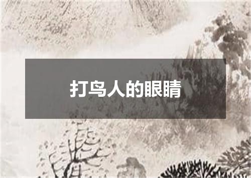打鸟人的眼睛