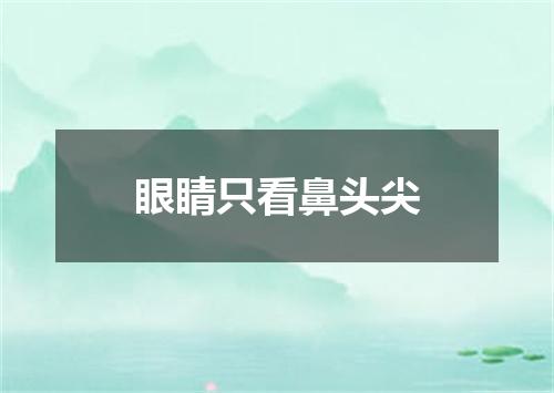 眼睛只看鼻头尖