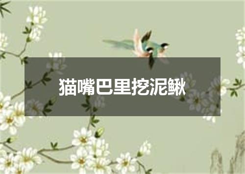 猫嘴巴里挖泥鳅