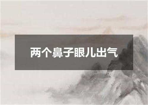 两个鼻子眼儿出气