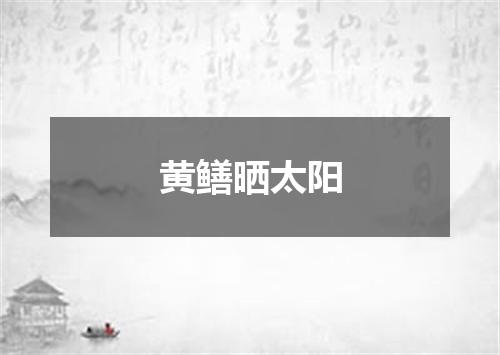 黄鳝晒太阳