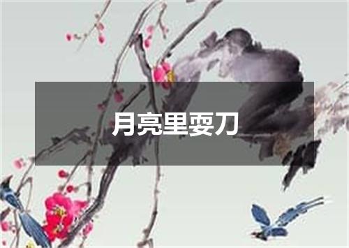 月亮里耍刀