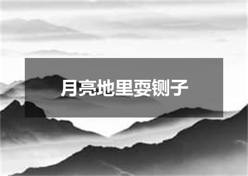 月亮地里耍铡子