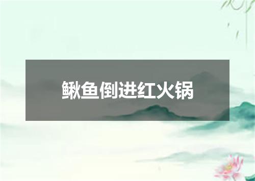 鳅鱼倒进红火锅