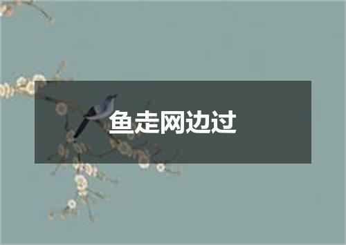 鱼走网边过