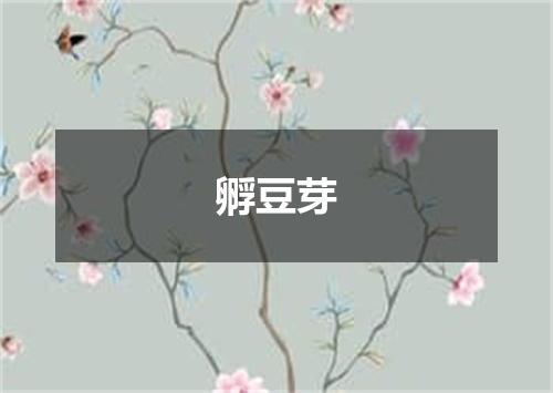 孵豆芽