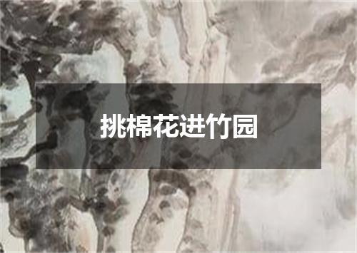 挑棉花进竹园