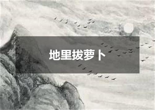 地里拔萝卜