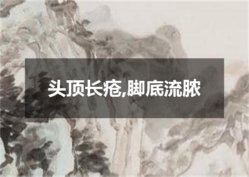 头顶长疮,脚底流脓