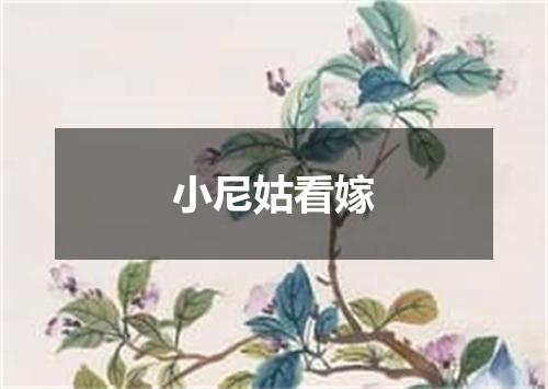 小尼姑看嫁