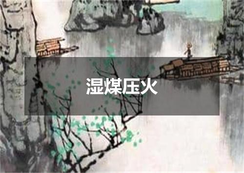 湿煤压火