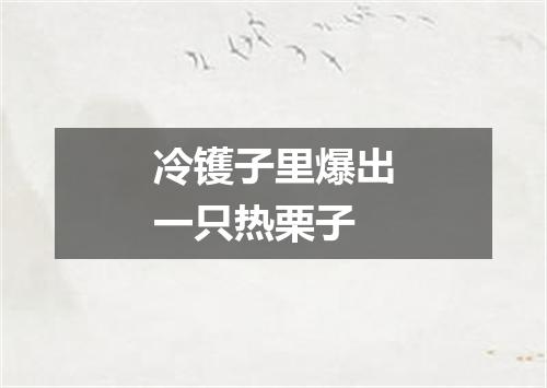 冷镬子里爆出一只热栗子