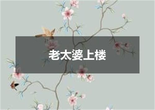 老太婆上楼