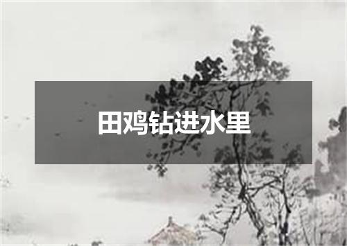 田鸡钻进水里