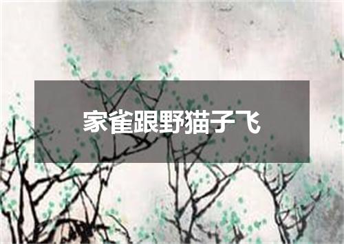 家雀跟野猫子飞