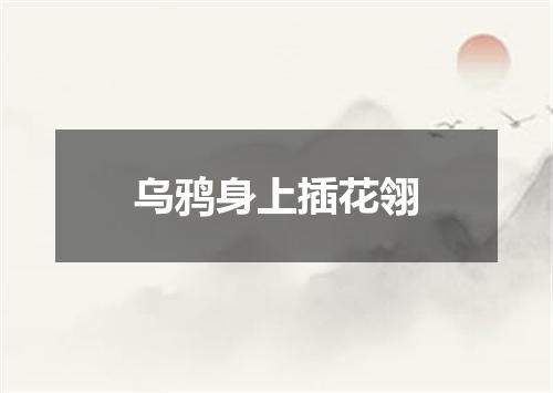 乌鸦身上插花翎