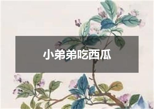 小弟弟吃西瓜