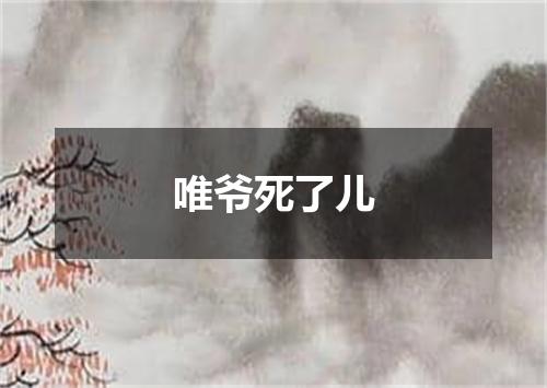唯爷死了儿