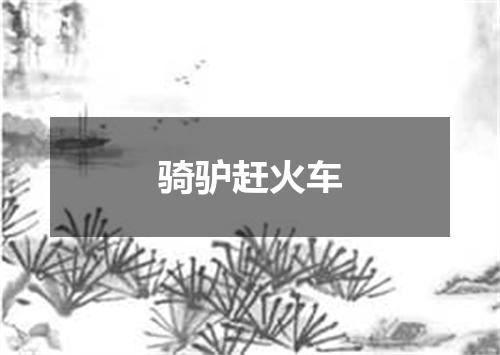 骑驴赶火车