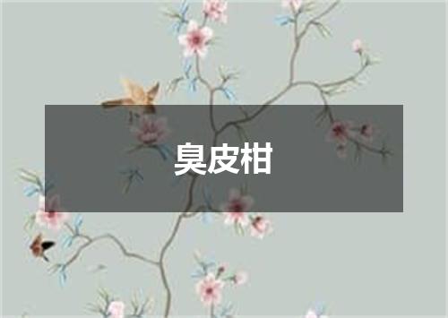 臭皮柑