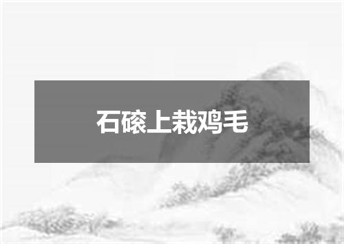 石磙上栽鸡毛