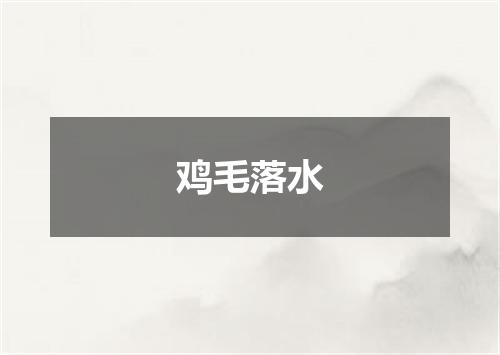 鸡毛落水