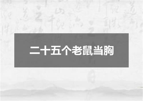 二十五个老鼠当胸