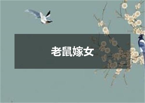 老鼠嫁女