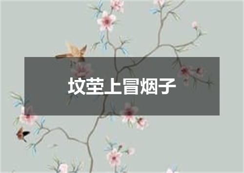坟茔上冒烟子