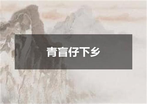 青盲仔下乡