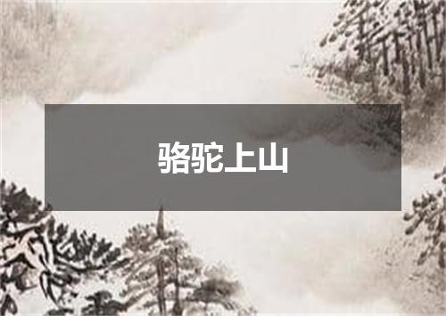 骆驼上山
