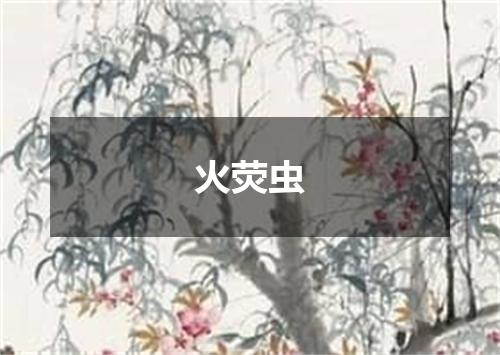 火荧虫
