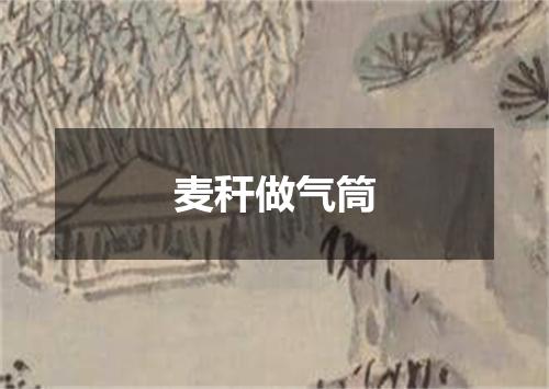 麦秆做气筒