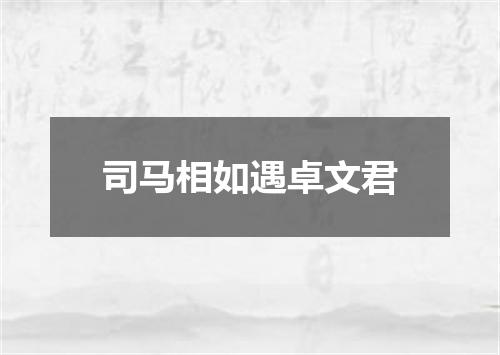 司马相如遇卓文君