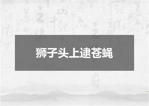 狮子头上逮苍蝇