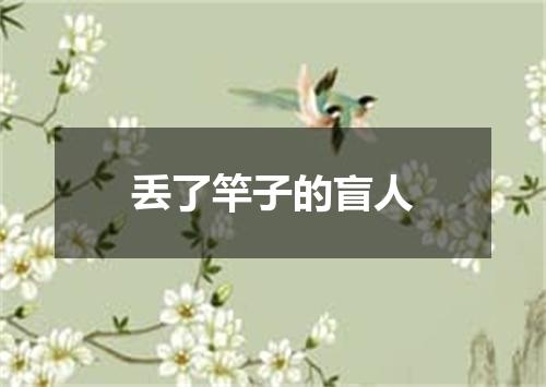 丢了竿子的盲人