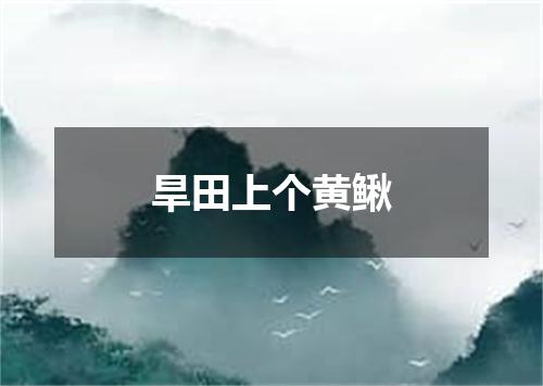 旱田上个黄鳅